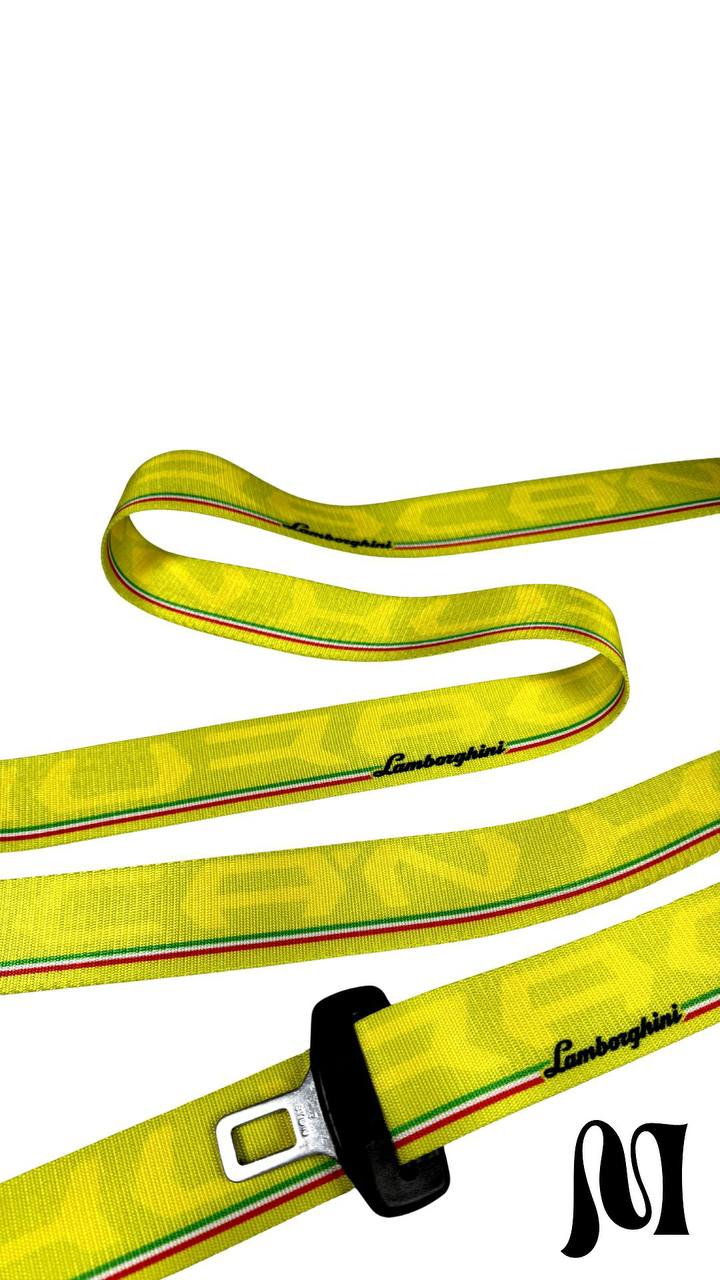 Lamborghini Huracán Seatbelts