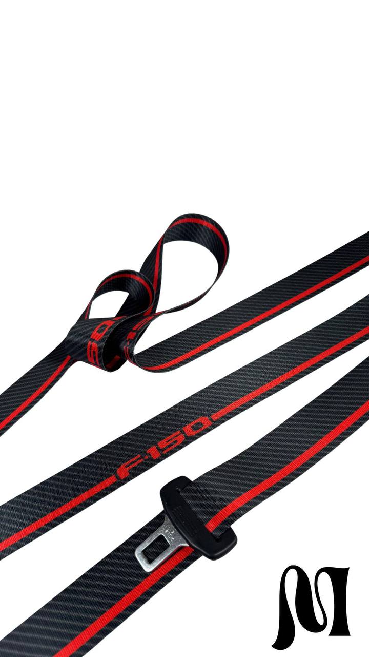 F150 Seatbelts