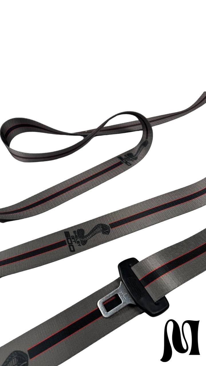 Mustang Seatbelts