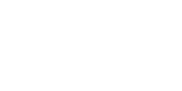 Seatbelts.co