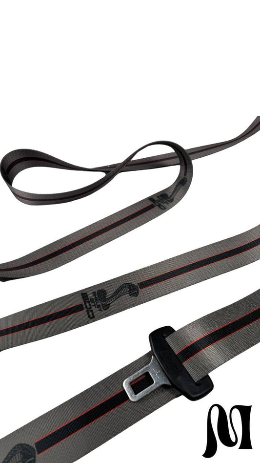 Mustang Seatbelts